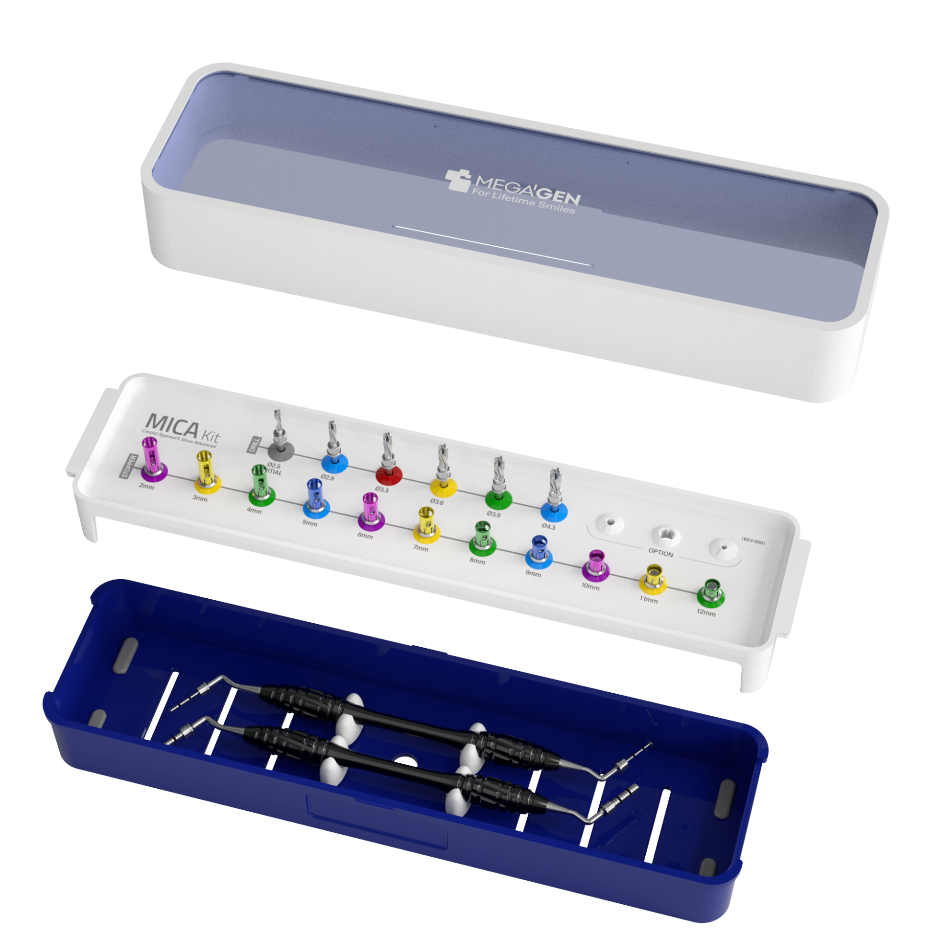 MICA Kit